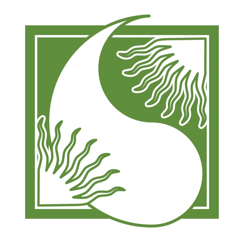 personnage aes sedai ajah verte